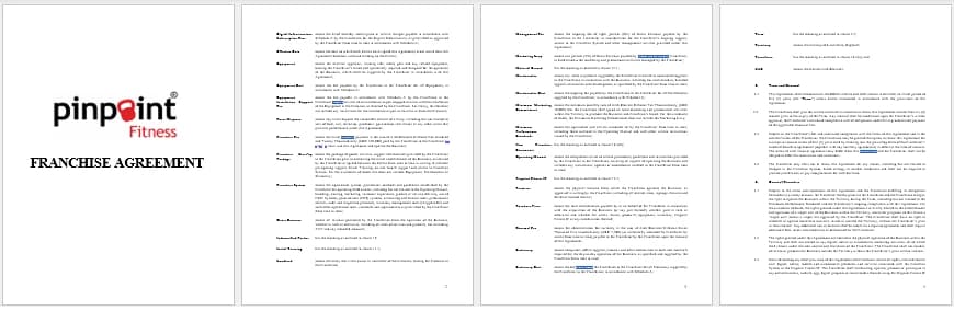 Pinpoint Franchise Agreement